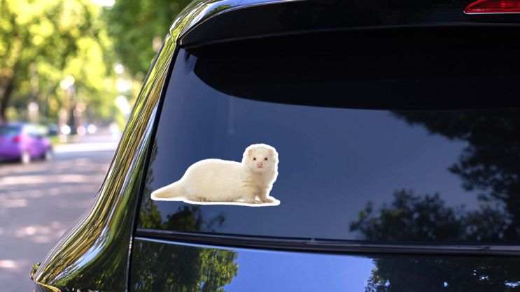 White Ferret Looking At The Camera Sticker on a Rear Car Window (New) example