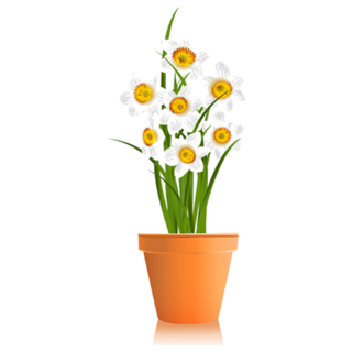 White Flowering Potted Plant Sticker
