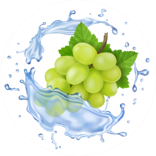 White Grape In Water Splash Sticker