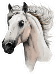 White Horse Head Profile Sticker