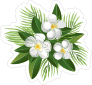 White Plumeria Flower Sticker