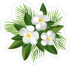 White Plumeria Flower Sticker