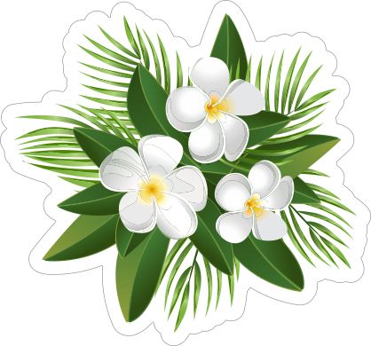 White Plumeria Flower Sticker