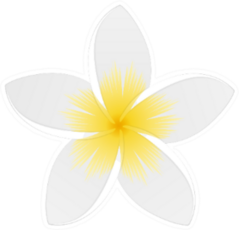White Plumeria Up Close Sticker