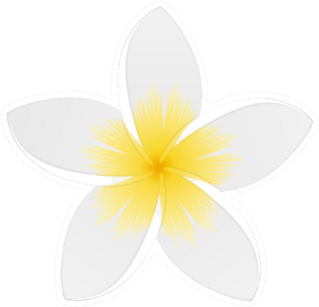 White Plumeria Up Close Sticker