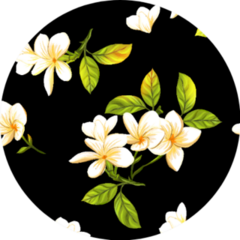 White Plumerias On Black Background Pattern Sticker