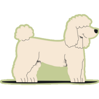 White Poodle Green Sticker