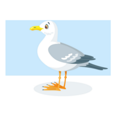 White Seagull Sits Sticker