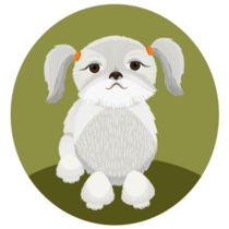 White Shih Tzu Sticker
