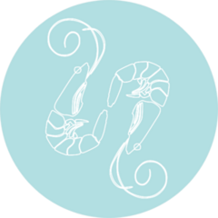 White Shrimp On Blue Sticker