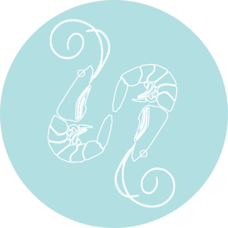 White Shrimp On Blue Sticker