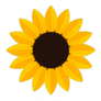 White Sunflower Icon Sticker