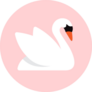 White Swan, Isolated On Pink Background Sticker
