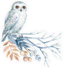 White Watercolor Owl On A Branch Sticker