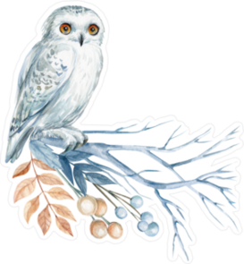 White Watercolor Owl On A Branch Sticker