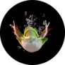 Whitelipped Frog In The Water Swimming Sticker