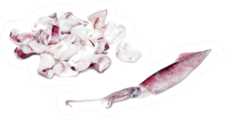 Whiteraw Squid And Squid Rings Over White Sticker