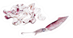 Whiteraw Squid And Squid Rings Over White Sticker