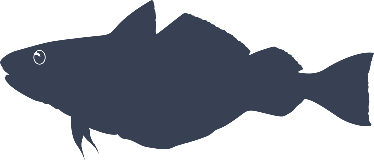 Whiting Fish Sticker