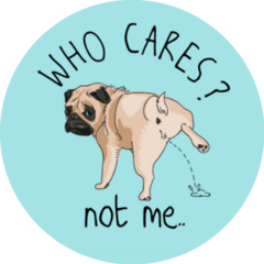 Who Cares Pug Sticker