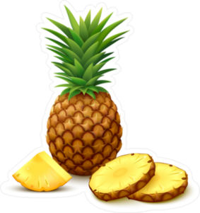 Whole Pineapple With Round Slices Sticker