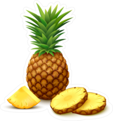 Whole Pineapple With Round Slices Sticker
