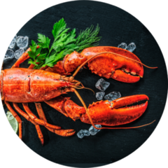 Whole Red Lobster With Ice And Lime Sticker