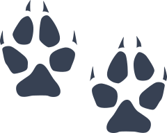 Wilcat Paw Prints Sticker
