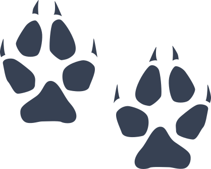 Wilcat Paw Prints Sticker