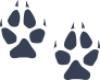 Wilcat Paw Prints Sticker
