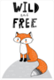 Wild And Free Fox Doodle Sticker