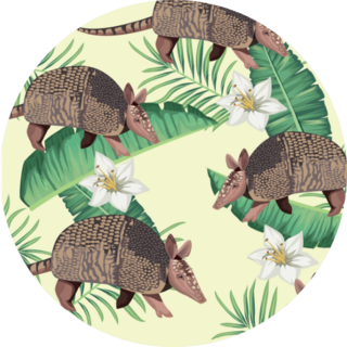 Wild Armadillos With Tropical Foliage Illustration Sticker