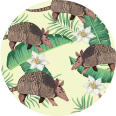 Wild Armadillos With Tropical Foliage Illustration Sticker