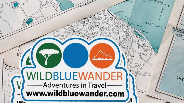 Wild Blue Wander Die Cut Cling Stickers
