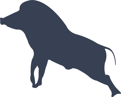 Wild Boar Pig Running Sticker