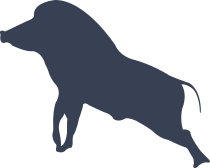 Wild Boar Pig Running Sticker