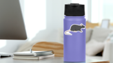 Wild Brown Rat Illustration Sticker on a Water Bottle (New) example