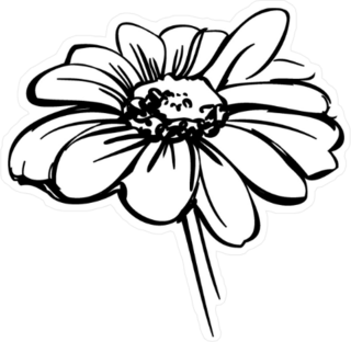 Wild Daisy Flower Sketch Sticker