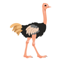 Wild Flat Ostrich Sticker