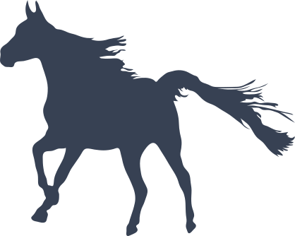 Wild Horse Running Sticker