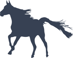 Wild Horse Running Sticker