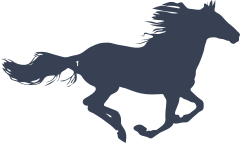 Wild Horse Sticker