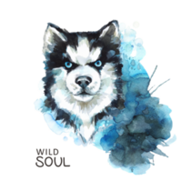 Wild Husky Sticker