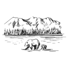 Wild Natural Landscape With Bears Hand Drawn Adventure Sticker