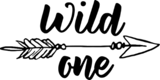 Wild One Arrow Sticker