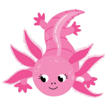 Wild Pink Axolotl Sticker