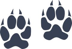 Wildcat Paw Prints Sticker