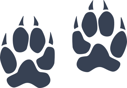 Wildcat Paw Prints Sticker