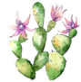 Wildflower Cactus Sticker