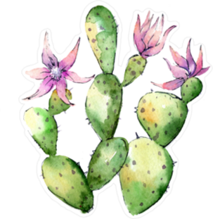 Wildflower Cactus Sticker